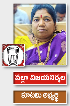 పల్లా విజయనిర్మల