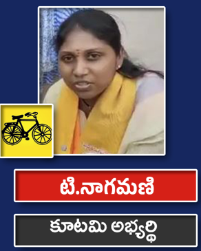 టి.నాగమణి