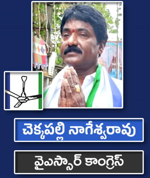చెక్కపల్లి నాగేశ్వరావు