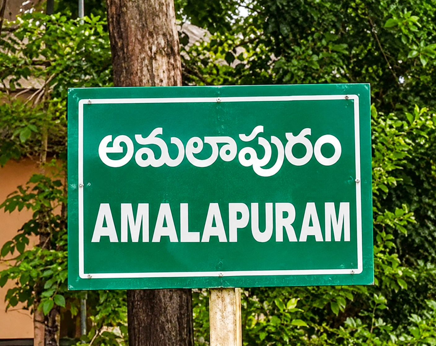 అమలాపురంలో జనసేన జోరు.. వైసీపీకి గట్టి పోటీ తప్పదా?