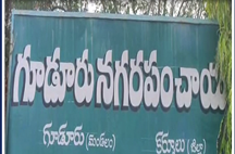 గూడూరు పురపోరు: బీజేపీ డమాం సునీతా బాయ్‌ వర్సెస్ వైసీపీ ఎల్‌.పద్మావతి.. విజయం ఎవరిది?