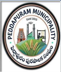 పెద్దాపురం మున్సిపల్ సమరం: టీడీపీ రాజా సూరిబాబు రాజు వర్సెస్ వైసీపీ కాపుగంటి సౌందర్య లక్ష్మి.. గెలుపెవరిది?